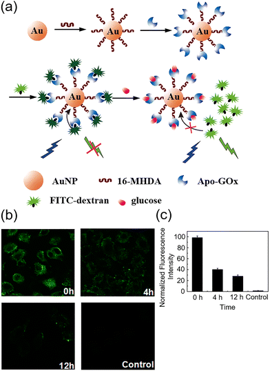 image file: d3cs00795b-f33.tif