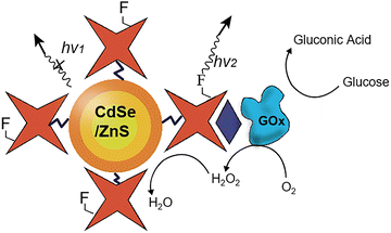 image file: d3cs00795b-f34.tif