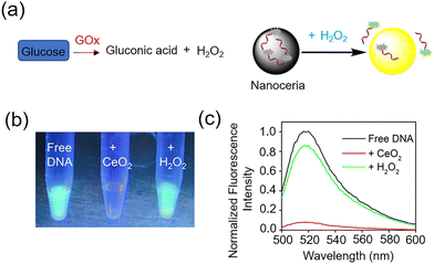 image file: d3cs00795b-f35.tif