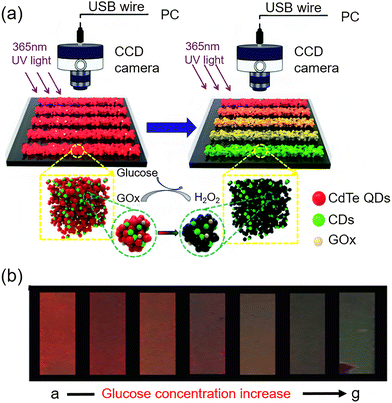 image file: d3cs00795b-f38.tif