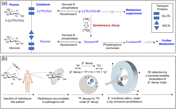 image file: d3cs00795b-f4.tif