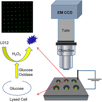 image file: d3cs00795b-f41.tif