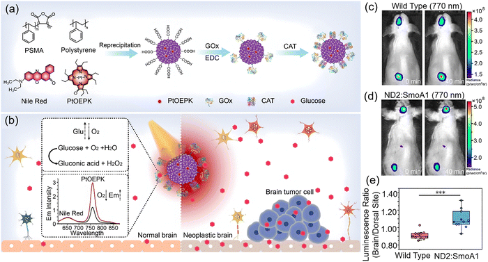 image file: d3cs00795b-f43.tif