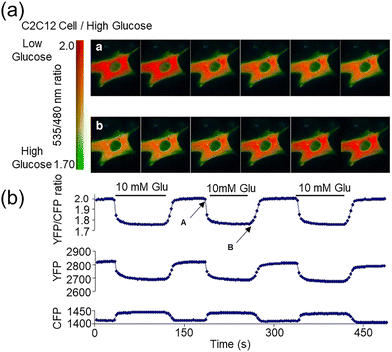 image file: d3cs00795b-f45.tif
