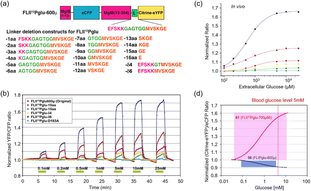 image file: d3cs00795b-f46.tif