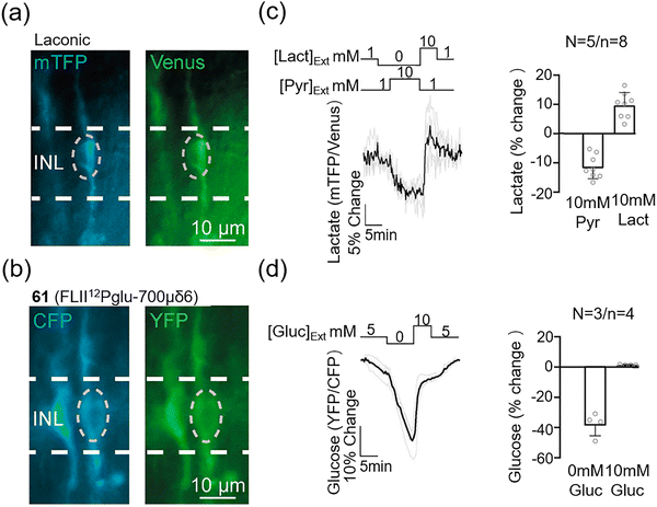 image file: d3cs00795b-f48.tif