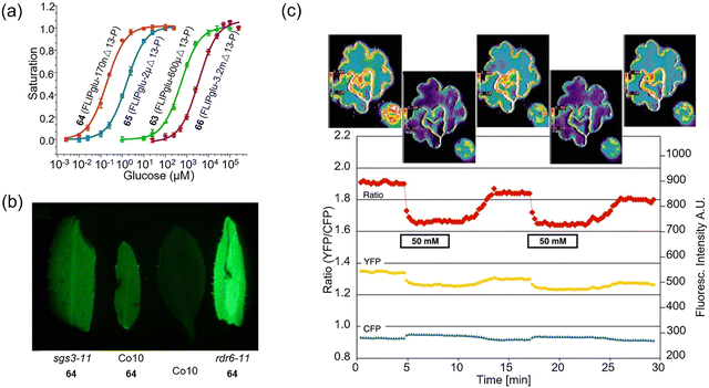 image file: d3cs00795b-f49.tif