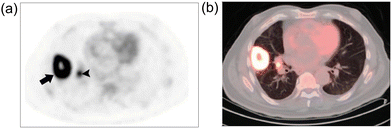 image file: d3cs00795b-f5.tif