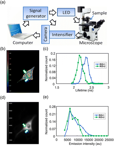 image file: d3cs00795b-f52.tif