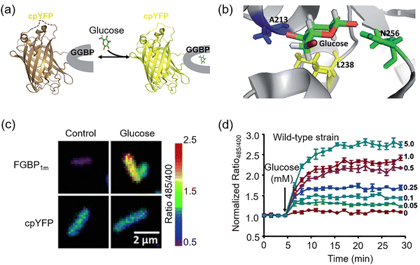 image file: d3cs00795b-f53.tif