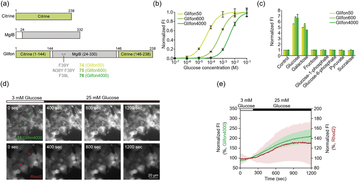 image file: d3cs00795b-f54.tif