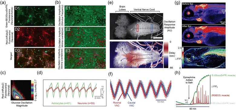 image file: d3cs00795b-f55.tif