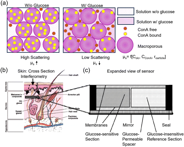 image file: d3cs00795b-f58.tif