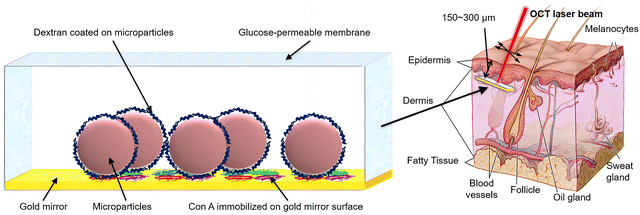 image file: d3cs00795b-f59.tif