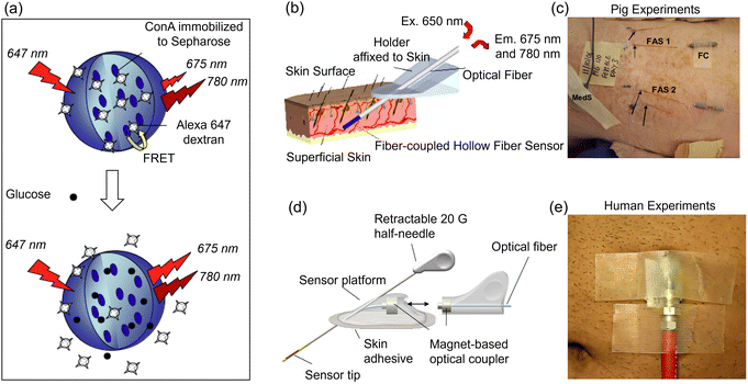 image file: d3cs00795b-f60.tif