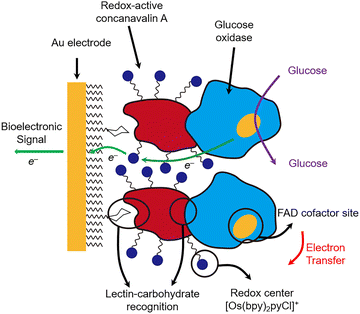 image file: d3cs00795b-f62.tif