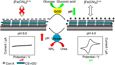 image file: d3cs00795b-f68.tif