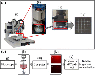 image file: d3cs00795b-f71.tif