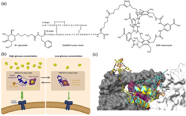 image file: d3cs00795b-f75.tif