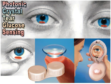 image file: d3cs00795b-f79.tif