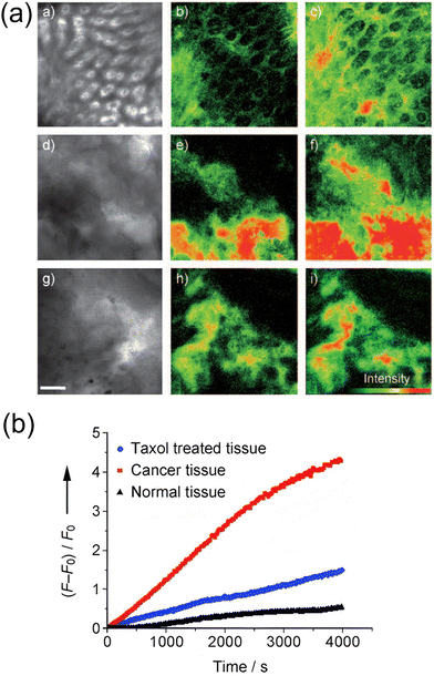 image file: d3cs00795b-f8.tif