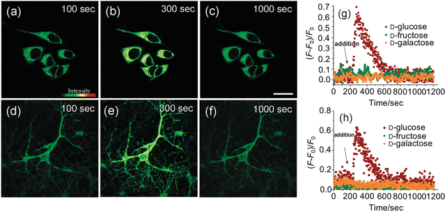 image file: d3cs00795b-f80.tif