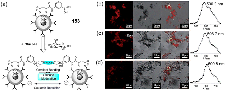 image file: d3cs00795b-f86.tif