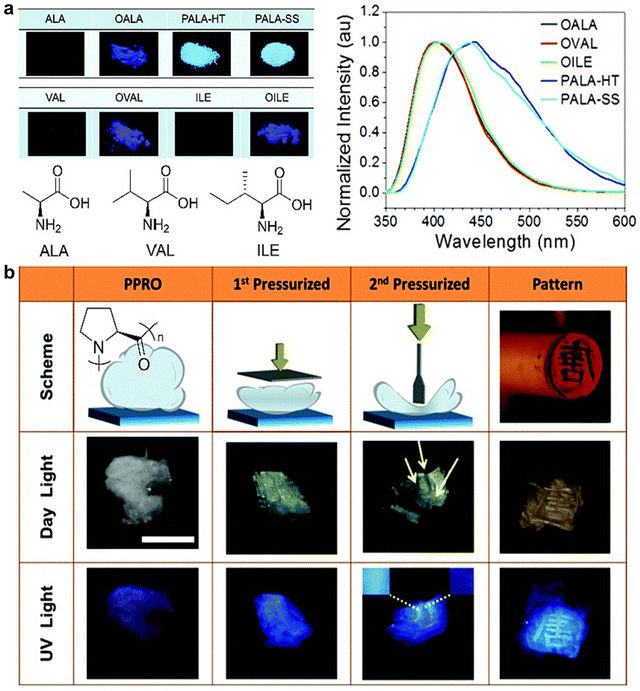 image file: d3cs00996c-f39.tif