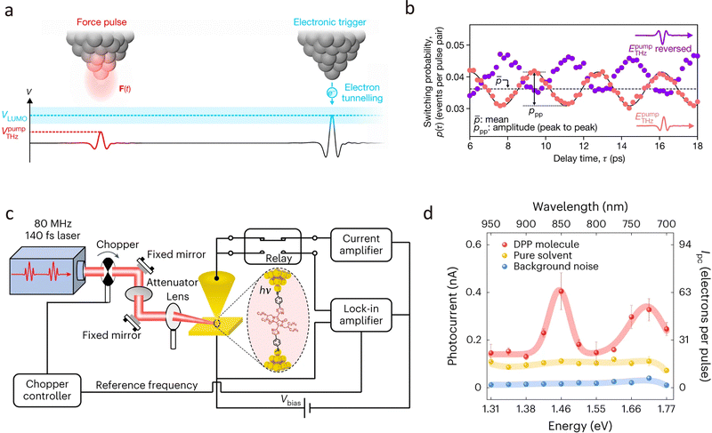 image file: d4cs00375f-f16.tif