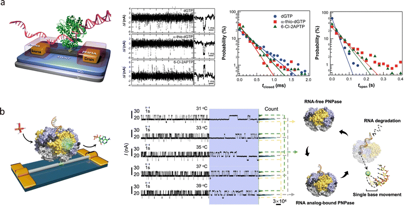 image file: d4cs00375f-f29.tif