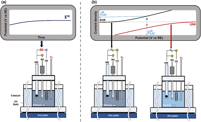 image file: d4cs00479e-f5.tif