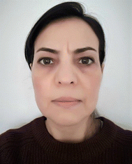 image file: d4cs00479e-p4.tif