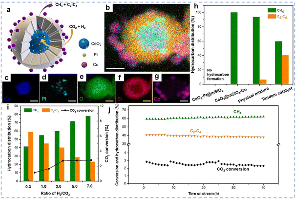 image file: d5cs00020c-f18.tif