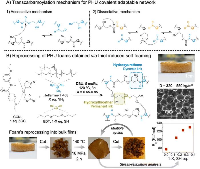 image file: d5cs00144g-f16.tif