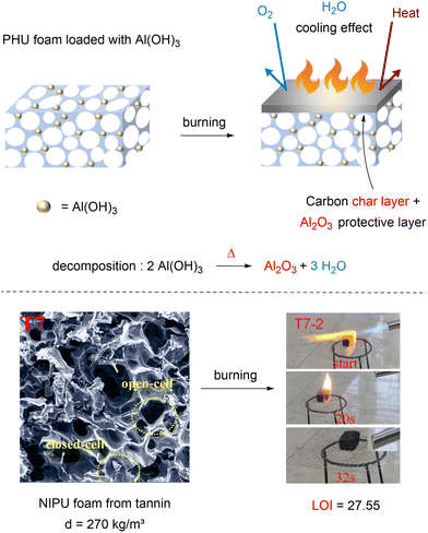 image file: d5cs00144g-f18.tif