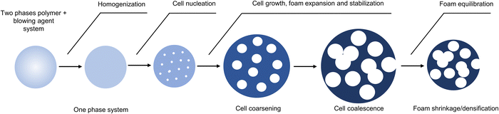 image file: d5cs00144g-f2.tif