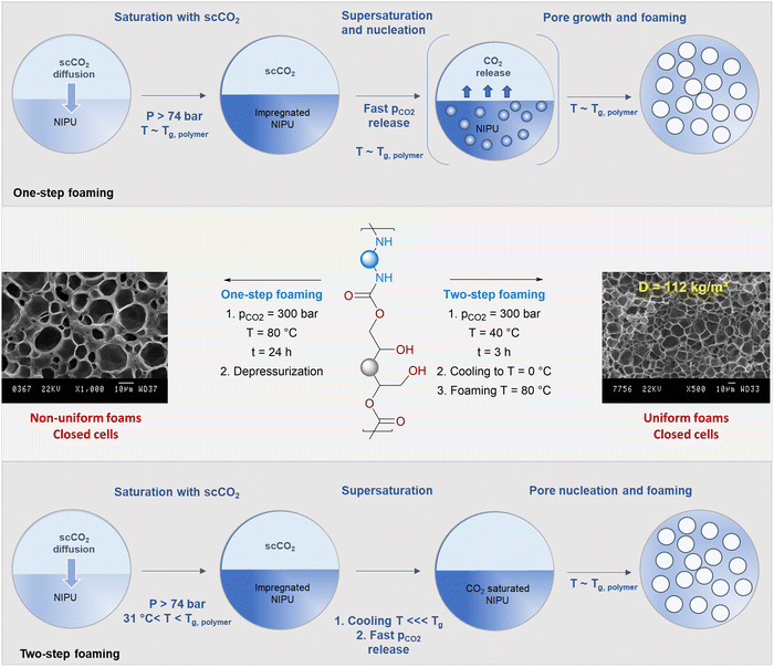 image file: d5cs00144g-f3.tif