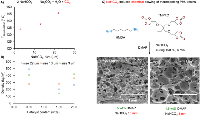 image file: d5cs00144g-f5.tif