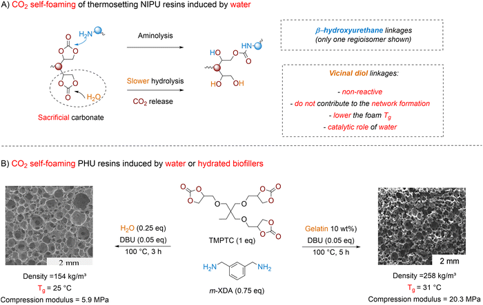 image file: d5cs00144g-f9.tif