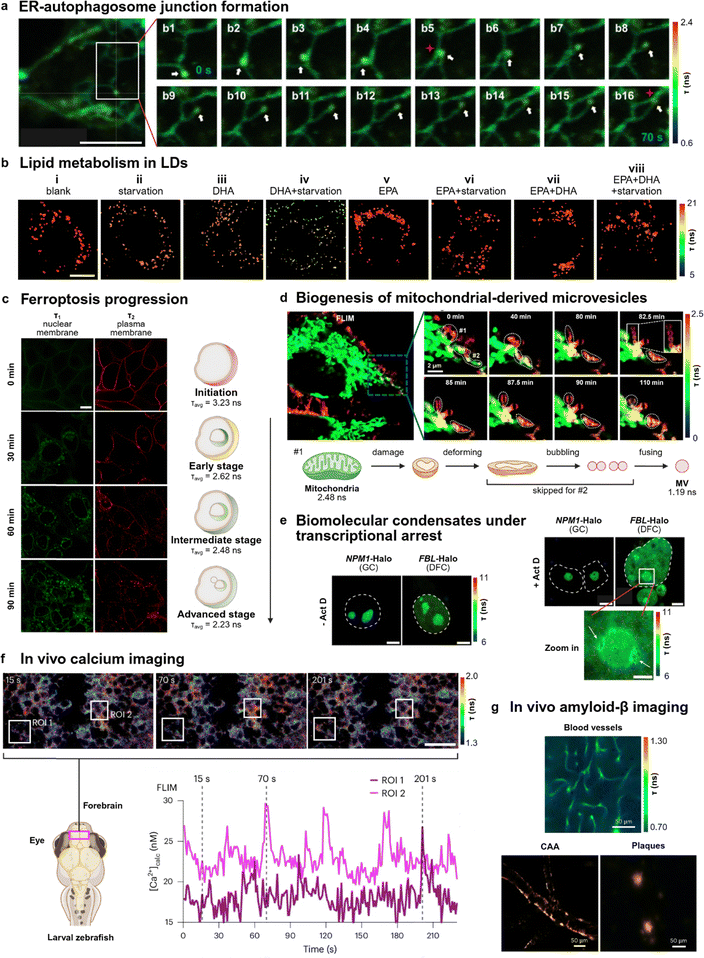 image file: d5cs00280j-f4.tif