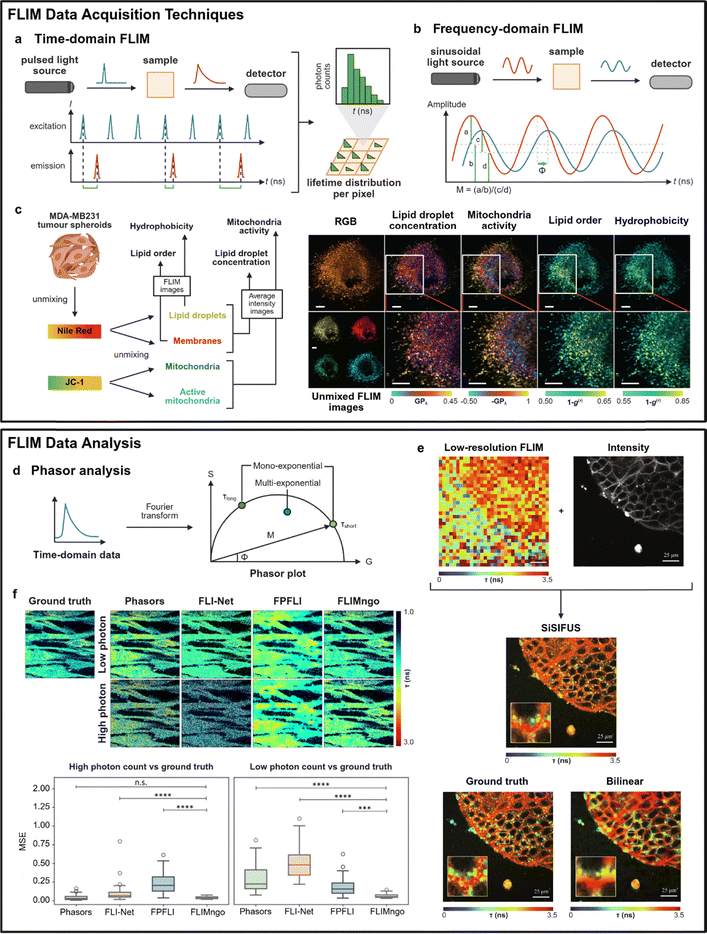 image file: d5cs00280j-f5.tif