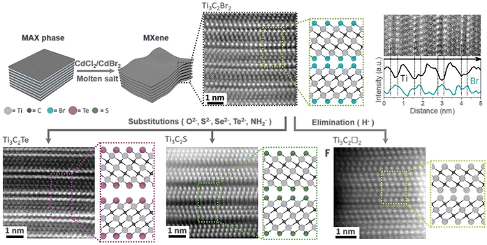 image file: d5cs00376h-f13.tif
