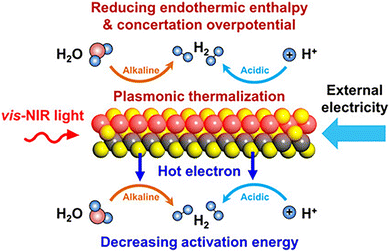image file: d5cs00376h-f48.tif