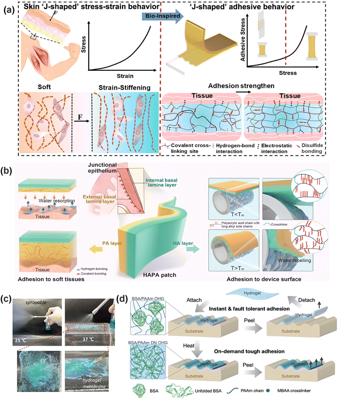 image file: d5cs00403a-f10.tif