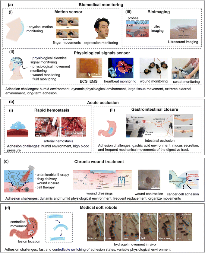 image file: d5cs00403a-f12.tif