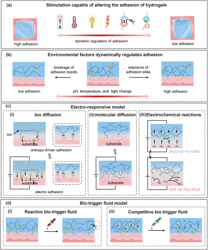 image file: d5cs00403a-f3.tif