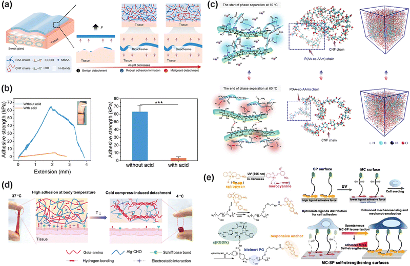 image file: d5cs00403a-f4.tif