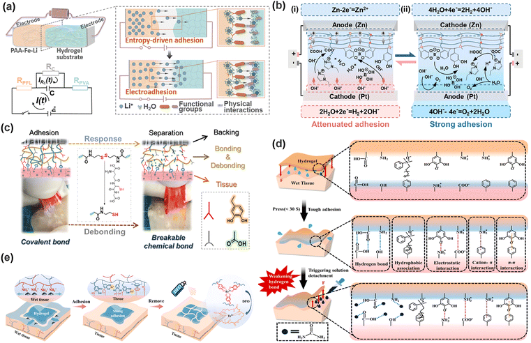 image file: d5cs00403a-f5.tif
