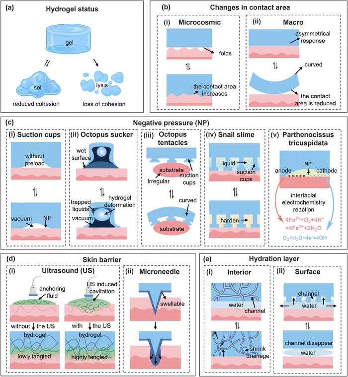 image file: d5cs00403a-f6.tif