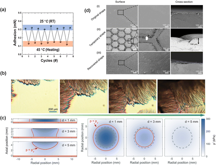 image file: d5cs00403a-f8.tif